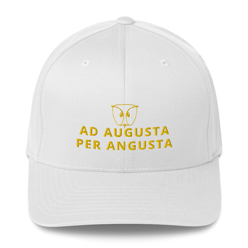 In the Trail of the Golden Owl® Cap AD AUGUSTA PER ANGUSTA